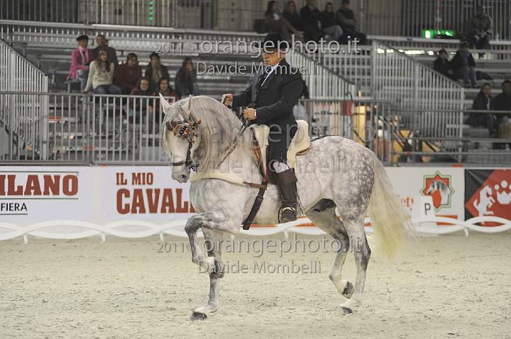 www.davidemombelli.com