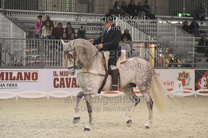 www.davidemombelli.com