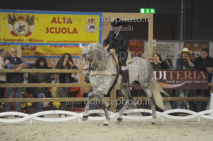 www.davidemombelli.com
