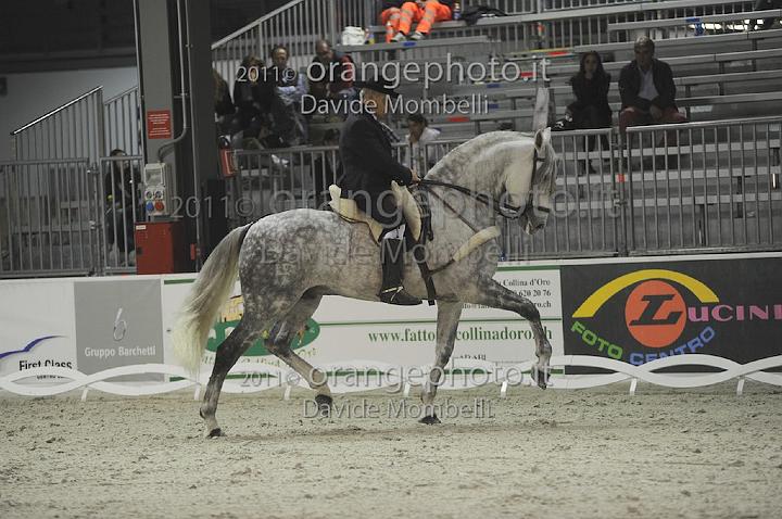 www.davidemombelli.com