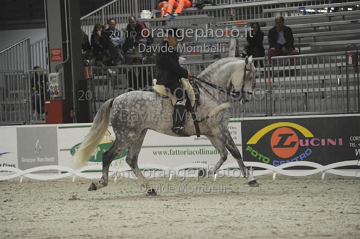www.davidemombelli.com