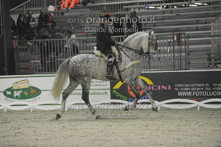 www.davidemombelli.com