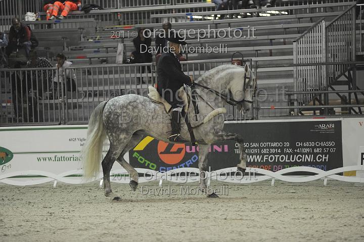 www.davidemombelli.com