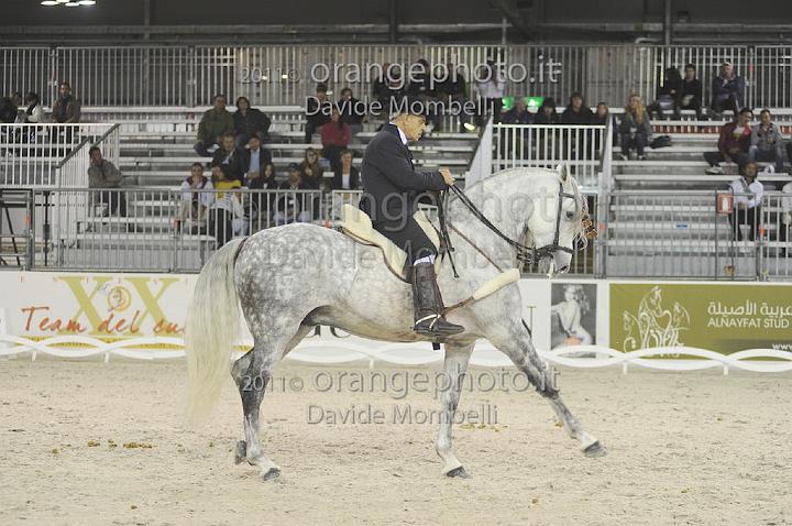 www.davidemombelli.com