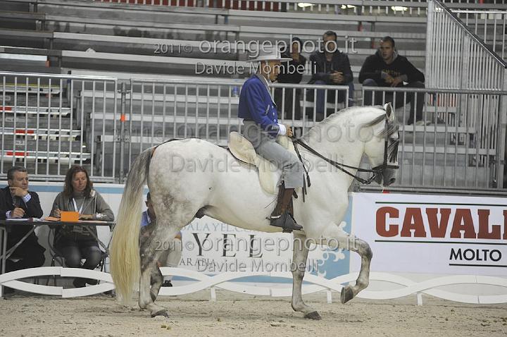 www.davidemombelli.com
