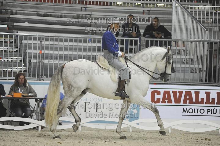 www.davidemombelli.com