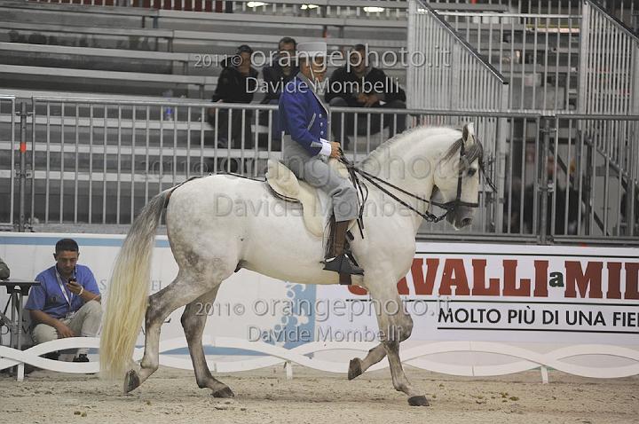 www.davidemombelli.com