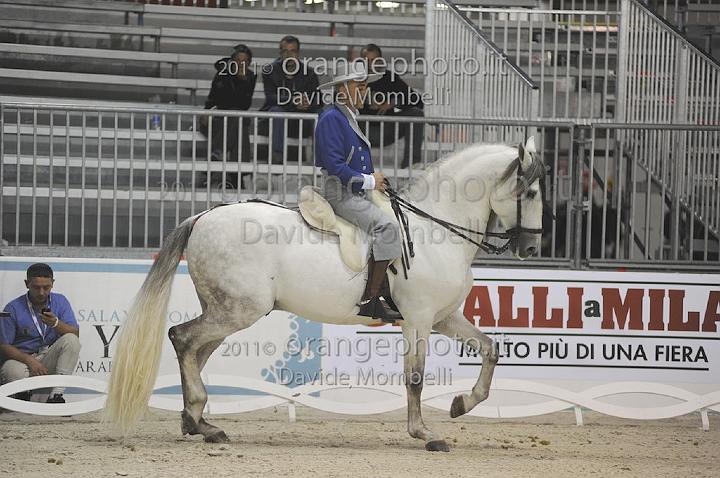 www.davidemombelli.com