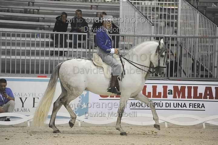 www.davidemombelli.com
