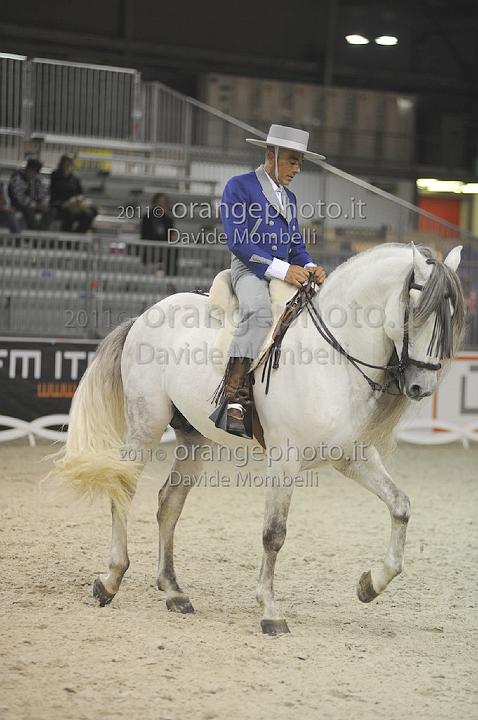 www.davidemombelli.com
