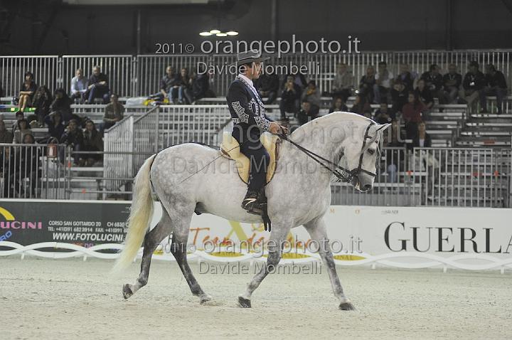 www.davidemombelli.com