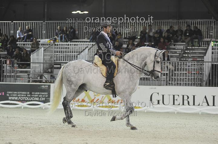 www.davidemombelli.com