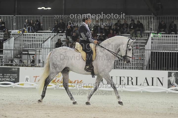 www.davidemombelli.com