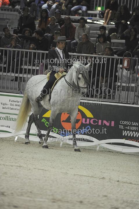 www.davidemombelli.com