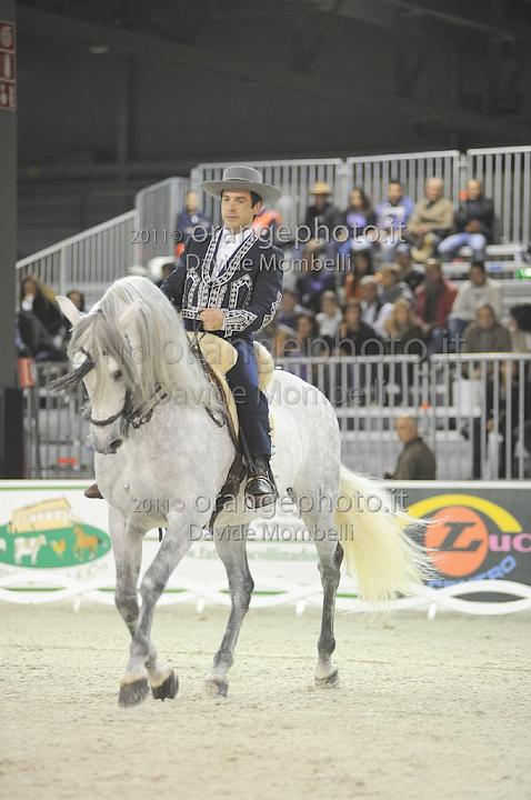 www.davidemombelli.com