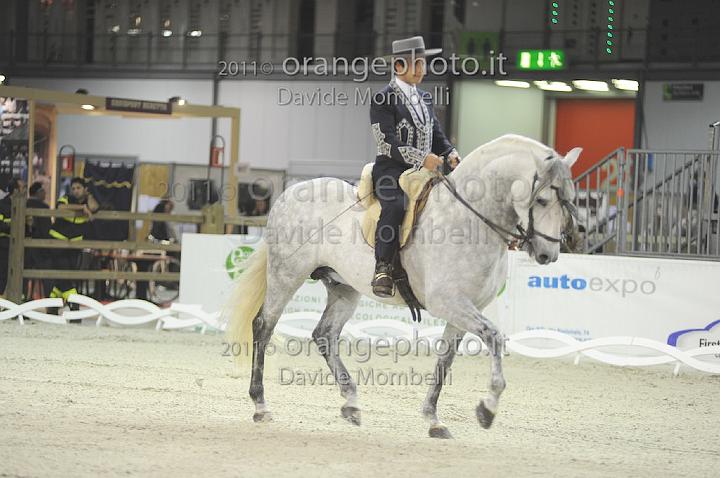 www.davidemombelli.com