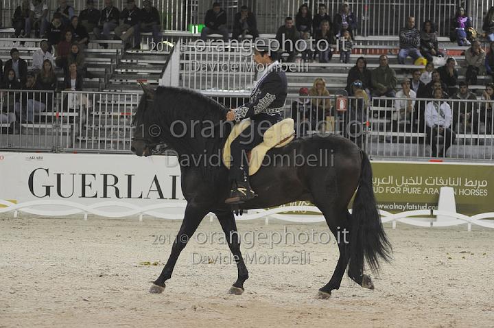 www.davidemombelli.com