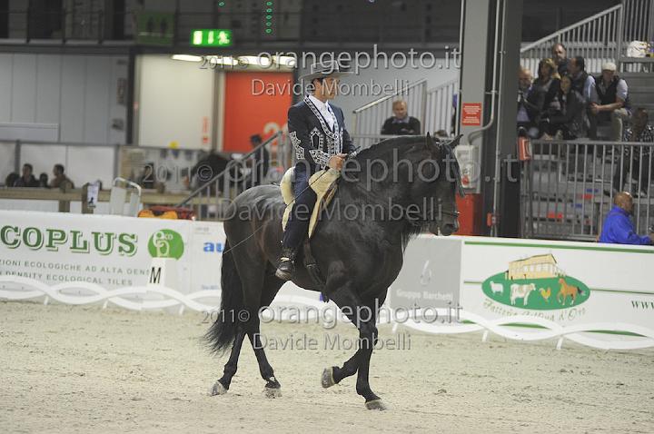 www.davidemombelli.com