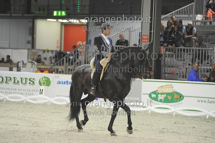 www.davidemombelli.com