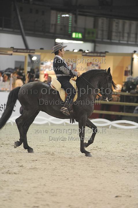 www.davidemombelli.com