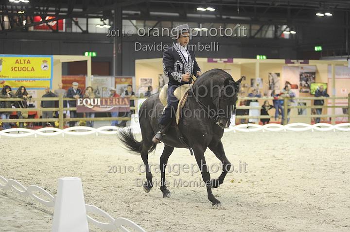 www.davidemombelli.com