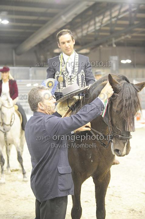 www.davidemombelli.com