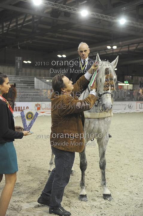 www.davidemombelli.com
