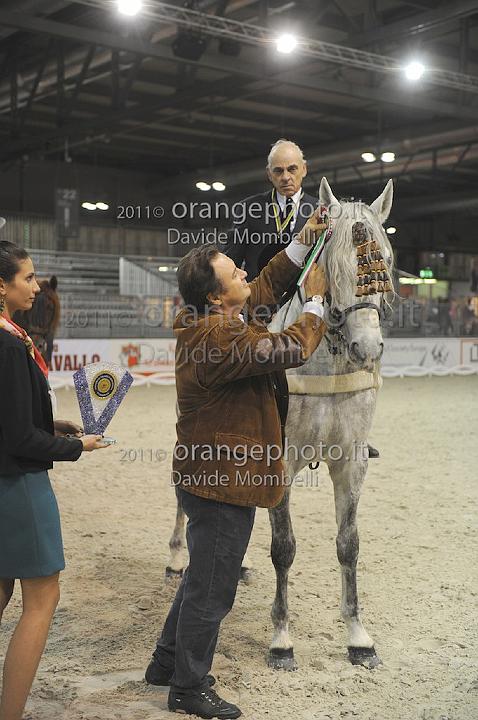 www.davidemombelli.com