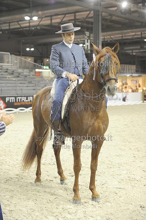 www.davidemombelli.com
