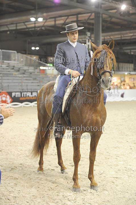 www.davidemombelli.com
