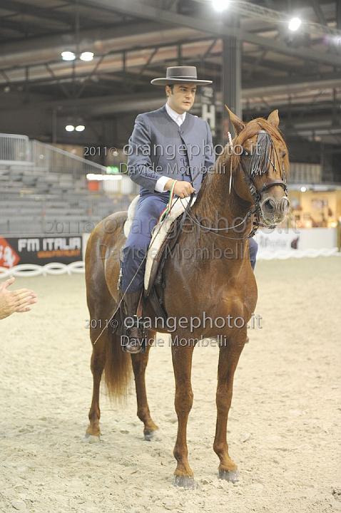 www.davidemombelli.com