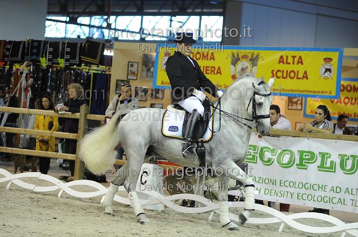 www.davidemombelli.com