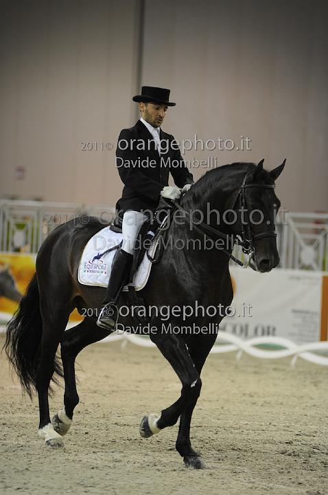 www.davidemombelli.com