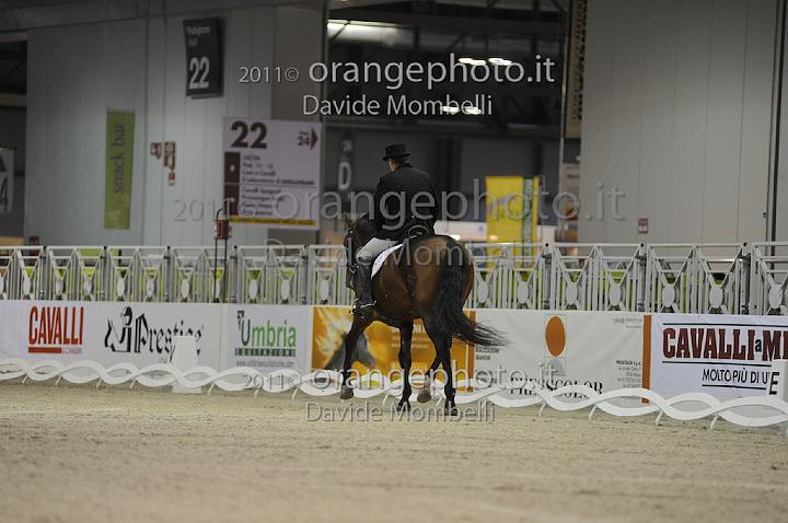 www.davidemombelli.com