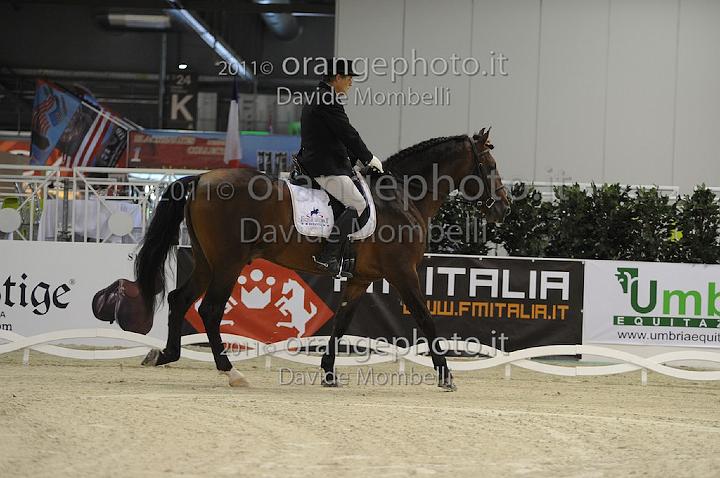 www.davidemombelli.com