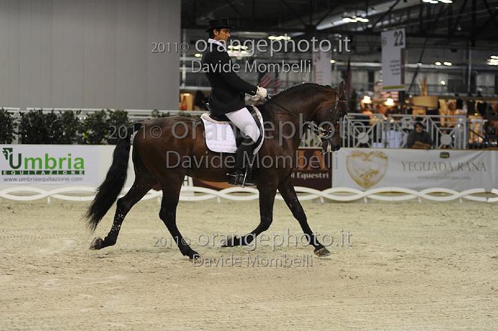www.davidemombelli.com