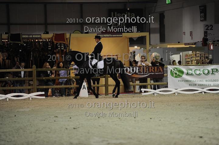 www.davidemombelli.com