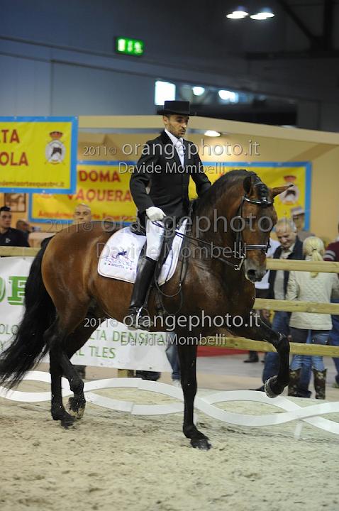 www.davidemombelli.com