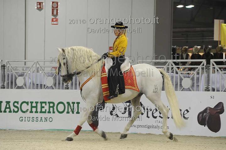 www.davidemombelli.com
