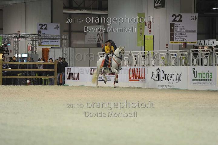 www.davidemombelli.com