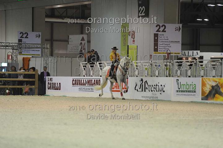 www.davidemombelli.com
