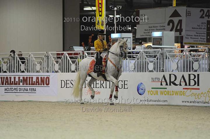 www.davidemombelli.com