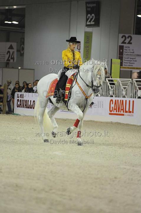 www.davidemombelli.com