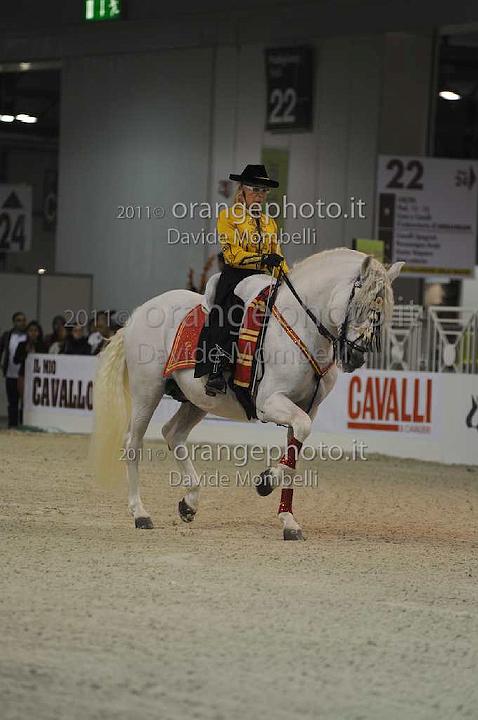 www.davidemombelli.com