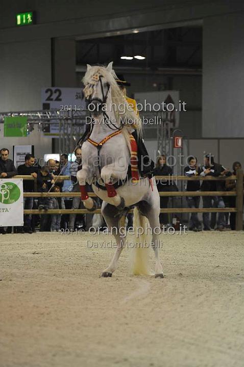 www.davidemombelli.com