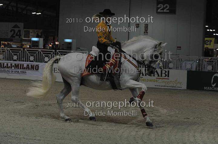 www.davidemombelli.com