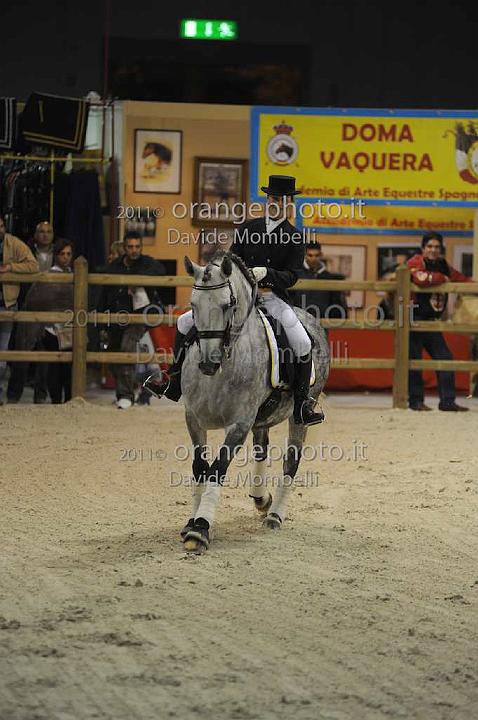 www.davidemombelli.com