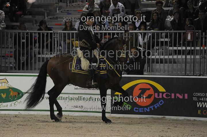 www.davidemombelli.com