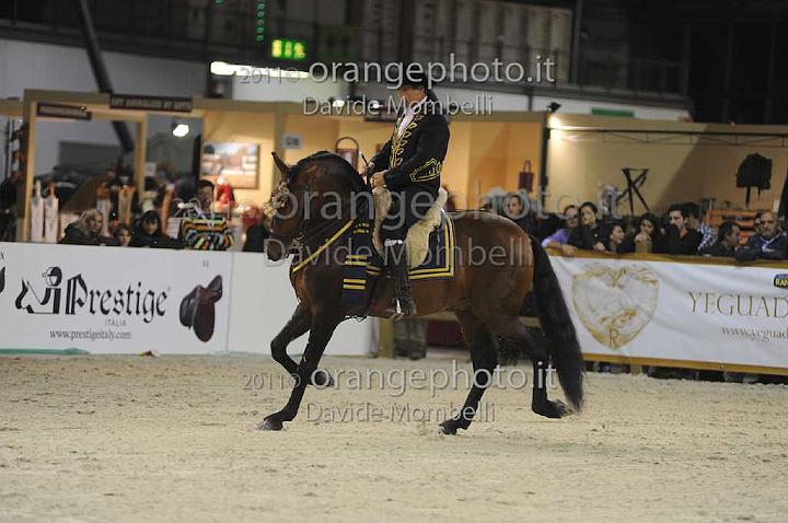 www.davidemombelli.com