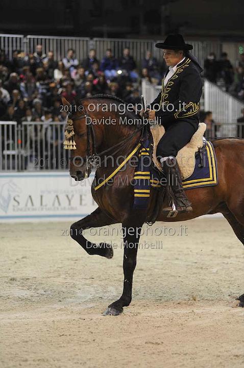 www.davidemombelli.com